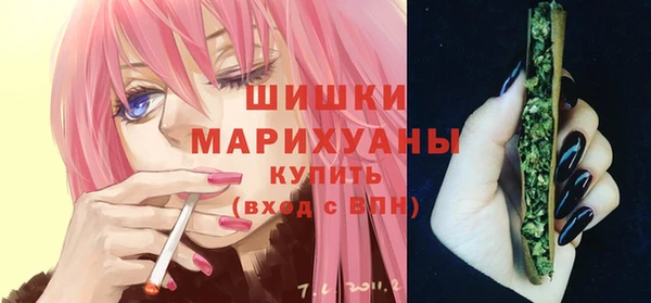 ГАЛЛЮЦИНОГЕННЫЕ ГРИБЫ Карталы