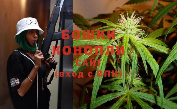 ГАЛЛЮЦИНОГЕННЫЕ ГРИБЫ Карталы