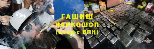 ГАЛЛЮЦИНОГЕННЫЕ ГРИБЫ Карталы