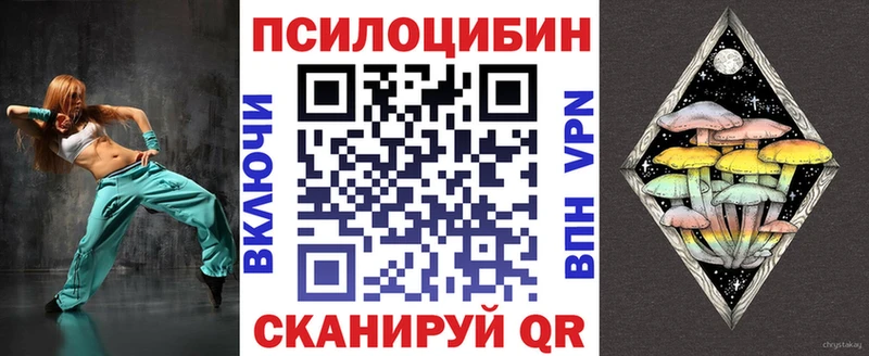 Купить где  Ишим  Псилоцибиновые грибы Magic Shrooms 